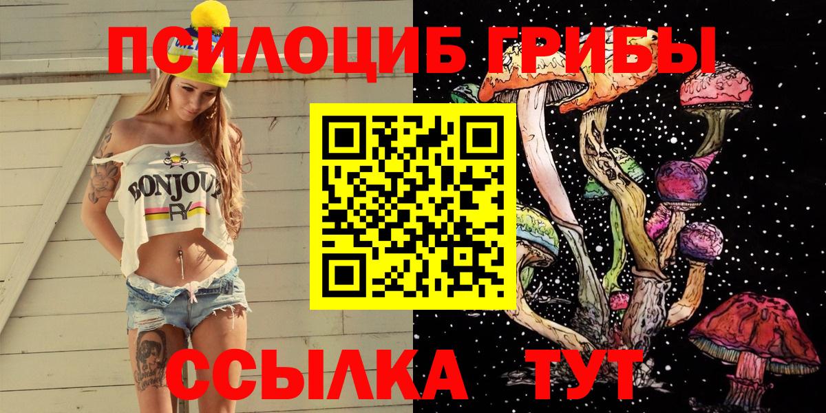 Галлюциногенные грибы Psilocybe Рузаевка