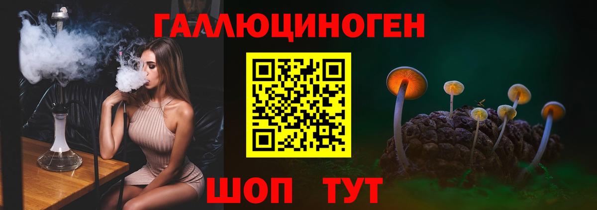 Рузаевка  Псилоцибиновые грибы GOLDEN TEACHER  Вход с VPN 